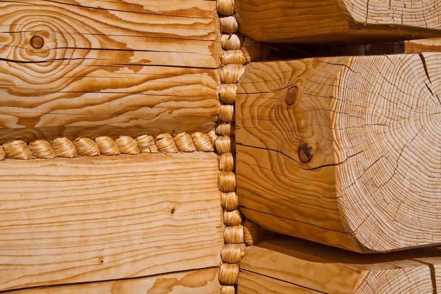  Jakim drewnem wykończyć domek letniskowy?